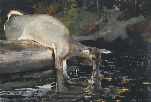 Winslow Homer Deer Drinking (mk44) china oil painting image